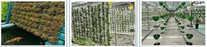 Vegetables Greenhouse Vertical PVC Nft Hydroponic Growing System