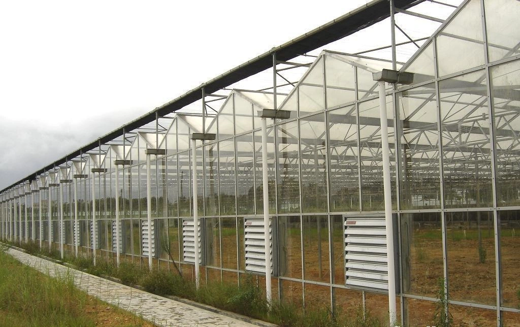 PC Sheet Greenhouse for Flowers Growing up