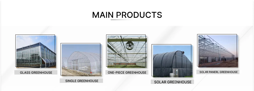 High-Performance Cooling Fan System for Green House Poultry House Greenhouse Chicken House