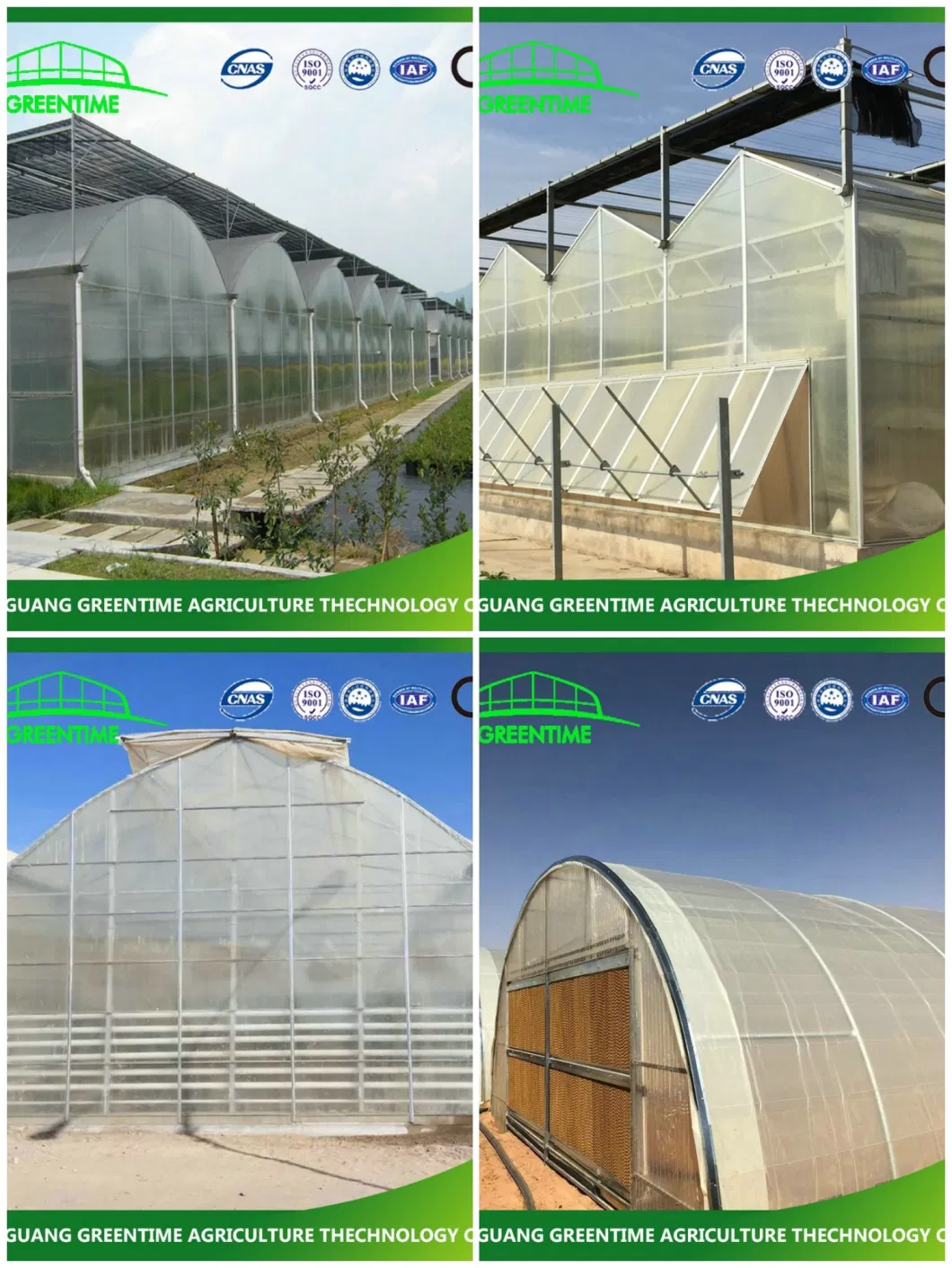 Hot-DIP Galvanized Steel PC Sheet Greenhouse with Hydroponic System