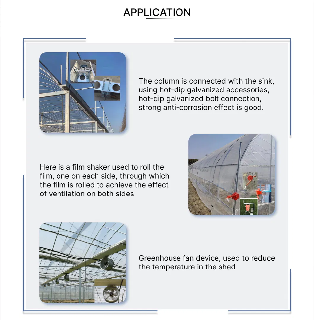 High-Performance Cooling Fan System for Green House Poultry House Greenhouse Chicken House