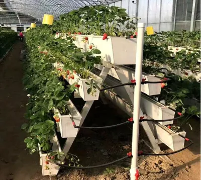 Sistema de cultivo hidropónico vertical de PVC Nft para invernadero de verduras