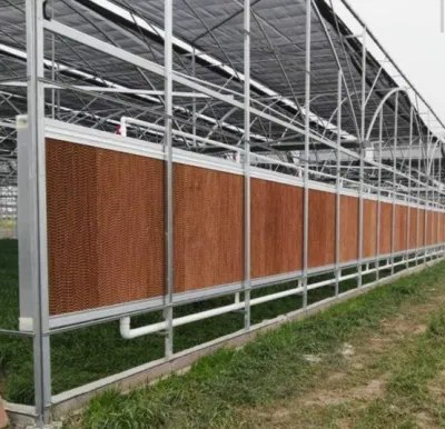 Sistema de ventilación de refrigeración por aire para agricultura, invernadero, plantación de flores, taller industrial